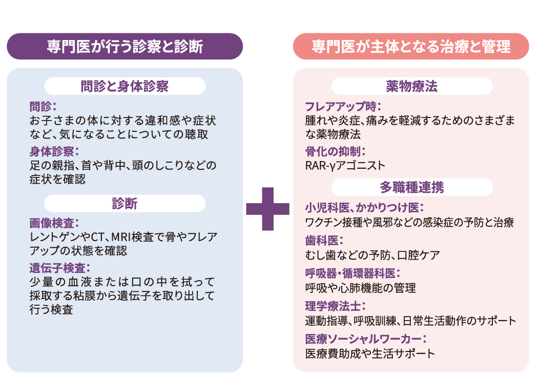 FOP専門医の役割を示す図。左側には問診・身体診察・画像検査・遺伝子検査による「診察と診断」の流れを記載。右側には薬物療法（RAR-γアゴニスト等）や、小児科、歯科、呼吸器科、理学療法士、医療ソーシャルワーカーなど各専門職との「多職種連携による治療と管理」を説明しています。