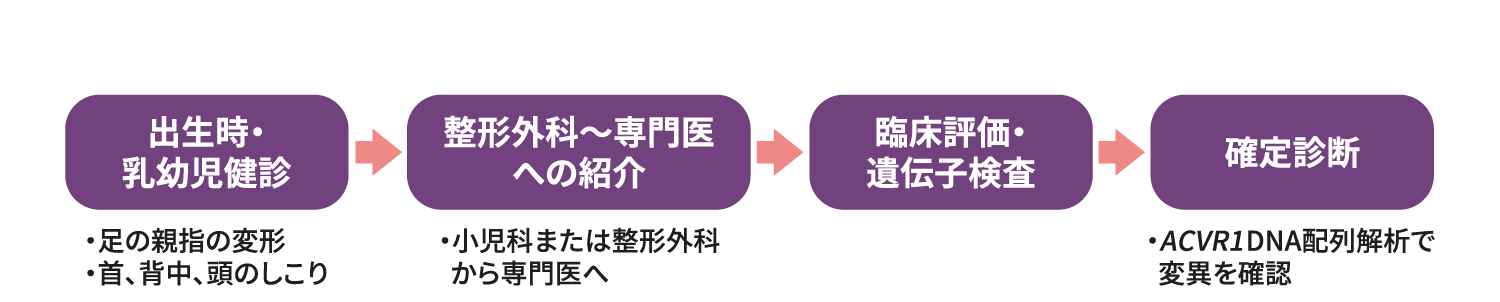 FOPの確定診断までの流れを4つのステップで示した図。1.出生時・乳幼児健診（足の親指の変形や首・背中・頭のしこり）、2.整形外科から専門医への紹介、3.臨床評価・遺伝子検査、4.確定診断（ACVR1 DNA配列解析で変異を確認）